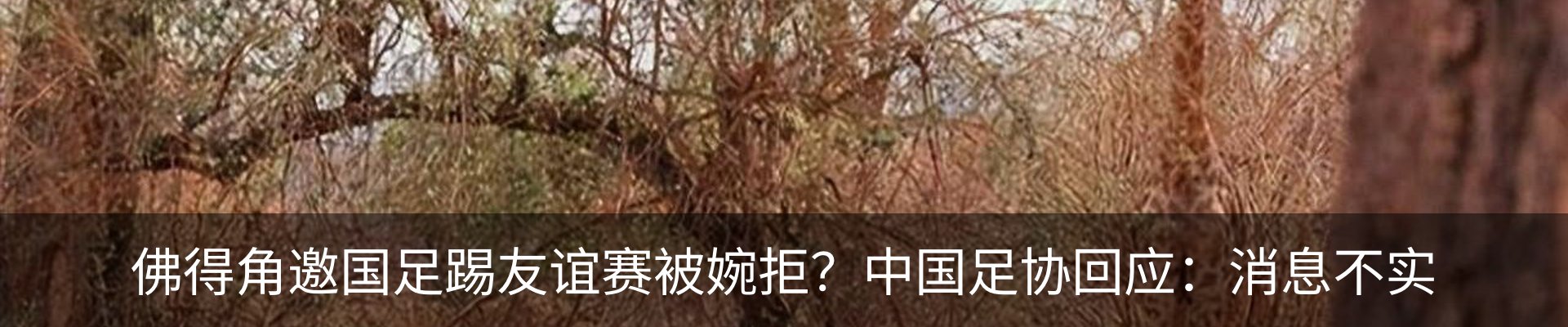 资讯中心